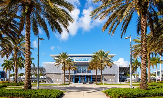 xxCoada din 1lemn Picard pentru ciocan 400g 310 mm